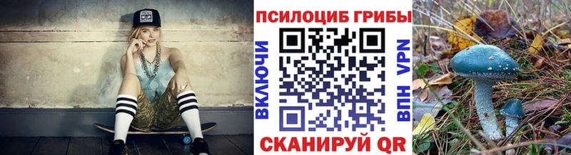 наркотики  Сретенск  Псилоцибиновые грибы Psilocybe 
